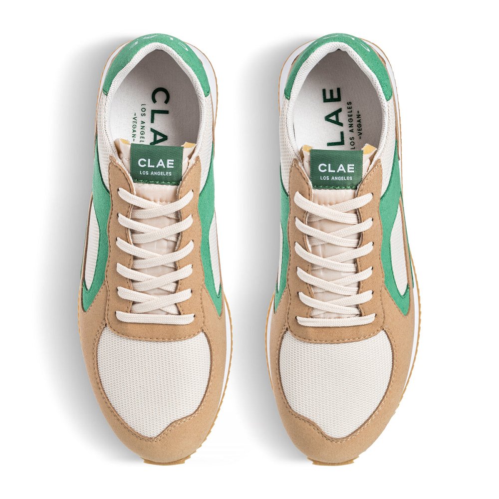 CLAE EDSON Sneakers Womens USA074-R21 In Sand Pine Green